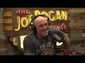 Joe Rogan Experience #2422 - Jensen Huang