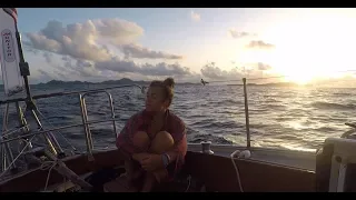 E22: Solo Sailor Sailing in St Vincent and the Grenadines