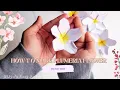How to make easy Origami paper flower Frangipani Plumeria paper flower making step-by-step