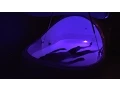 Float Nation 2014 Trailer
