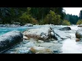 Download Lagu 1-Minute Nature Background Sound