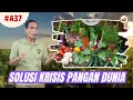 Download Lagu Pertanian Adalah Solusi Krisis Pangan Dunia