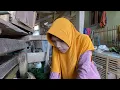 Download Lagu BERGETAR HATI INI'MELIHAT JANDA DESA HARUS SEPERTI INI??