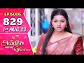 Lagu Anbe Vaa Serial Episode 829 | 1st Aug 2023  | Virat | Delna Davis | Saregama TV Shows Tamil