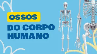 Ossos do Corpo Humano - Toda Matéria