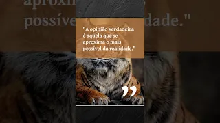 A sabedoria de Platão: Cinco frases marcantes para reflexão #shorts