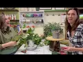 How to Green an Oasis Flower Arrangement using Salal Eucalyptus Nicolette s Inspirations