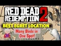 BEST EGRET LOCATION MANY BIRDS Reddish Egret Snowy Egret Little Egret - RDR2