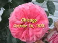 Mabel's Dream -- King Oliver's Jazz Band 1923