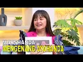 Lagu Marshanda dan Ben Jalani Co-Parenting Bersama | FYP (16/12/25) Part 3