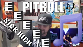 Download Sickick   Epic Pitbull Mashup REACTION!! MP3