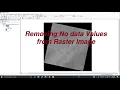 How to Remove No Data values from Raster image using ArcGIS