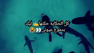 ازاى يا بحر أهون عليك وازاى خنونى 