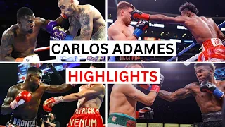 Download Carlos Adames (22-1) Highlights \u0026 Knockouts MP3