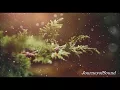 Vansire - Nice to See You (feat: Floor Cry)