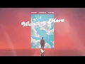 Download Lagu MAESTRI, 2FarAway, M.dn.ght  - Wanting More