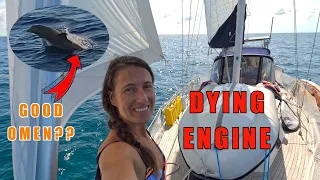 GULFSTREAM Crossing from the Bahamas to St. Augustine in 45hrs [E342]