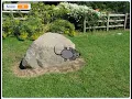 Scratch Tutorial Catching The Mouse Easy Beginner