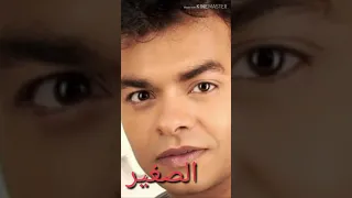 محمد محي الصغير 