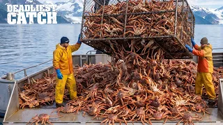 Snow Crab Fishing Millions of Pounds Caught Each Winter Fishing Documentary