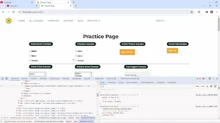 Java Code - Checkbox Button Click with Example in Selenium Selenium