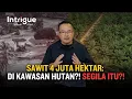 Land Clearing, Tambang, dan “Hemat Biaya”: Kenapa Praktik Ini Jadi Mesin Banjir Bandang? #IntrigueRK