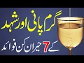 Download Shahad Aur Pani Ke 7 Fayde | 7 Health Benefits of Honey and Hot Water | ؔ شہد اور پانی کے فوائد mp4 3gp mp3 videos - waplic