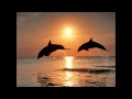NEEDTOBREATHE "Brother feat. Gavin DeGraw"