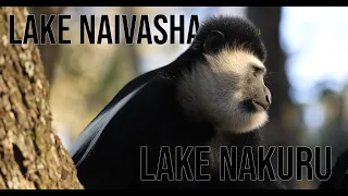 Lake Naivasha and Lake Nakuru Kenya Africa Canon R5