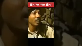 Eritrean Movies Eritrea Eritrean Habesha ZieMa Records  Eritrean Movies Eritrea Eritrean Habesha ZieMa Records