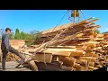 Download Lagu Pure Relaxation: The Steady, Calming Sound of Wood Being Destroyed