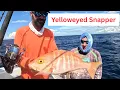 Key Largo Deep Drop Huge Yelloweye Snapper from 400 Feet Down