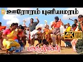 Lagu Oororam Puliyamaram - 4K Video Song | ஊரோரம் புளியமரம் | Paruthiveeran | Karthi | Ameer | Yuvan