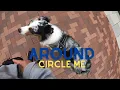 Download Lagu Off-Leash Training \u0026 Dehydrating Treats | Astro from the Blue