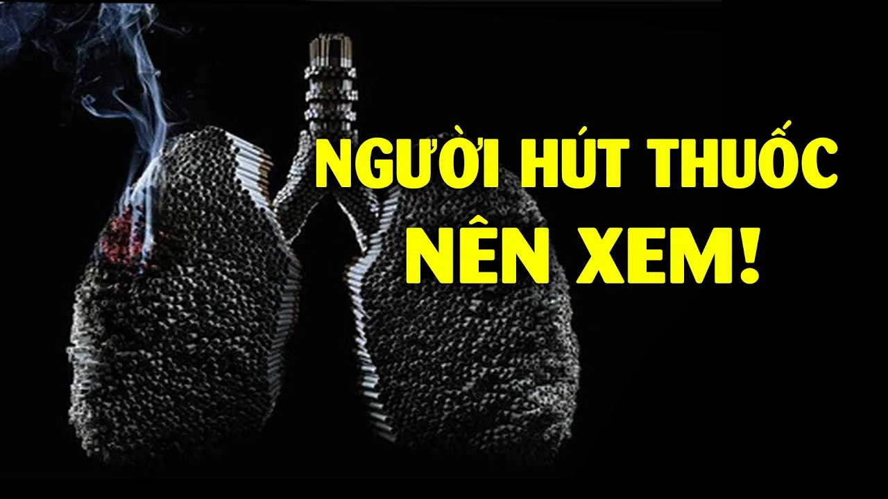 Outline Video Chuyện gì xảy ra khi bạn hút thuốc mỗi ngày?