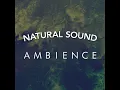 Fountain Birds - Natural Sounds