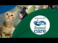 Beaumont Animal Care City of Beaumont TX