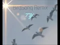 BirdSong remix T.Y.