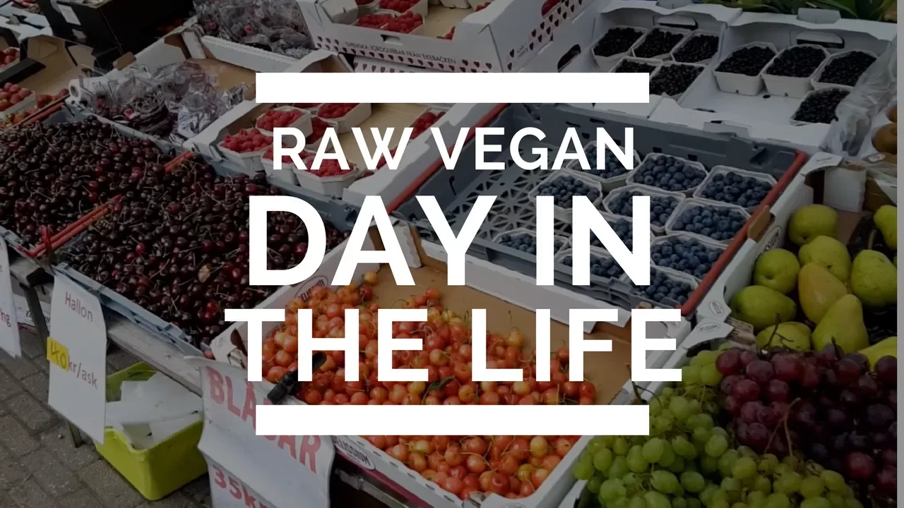 Day In The Life   Raw Vegan In Sweden