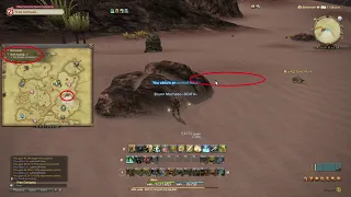 Animal Trace FFXIV