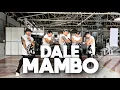 Download Lagu DALE MAMBO by Antonio Hernandez, Chimbala | Zumba | Dembow | TML Crew Jay Laurente