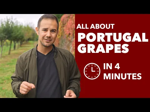 Download MP3 Portuguese Grapes - All About the Wine Grapes from Portugal (Touriga Nacional & more...)