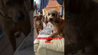 Https Www Facebook Com Share 1AS4UVrV1Y Mibextid WwXIfr 