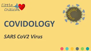 SARS CoV 2 | Virology | Covidology