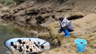 This pearl is very large, and the pearls inside are sparkling.