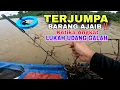 Download Lagu Hasil luar jangka‼️