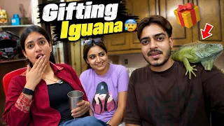 Raksha Bandhan ka Gift 🎁 Iguana !!🦎😰 Rachit Rojha Vlogs