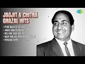 जगजीत और चित्रा के सदाबहार गीत | Jagjit Singh Songs | Pyar Mujh Se Jo Kiya