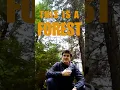 Download Lagu UK forests are in a bad place right now… 🌳#sustainability #conservation #uk #forest