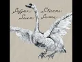 07 Size Too Small - Sufjan Stevens